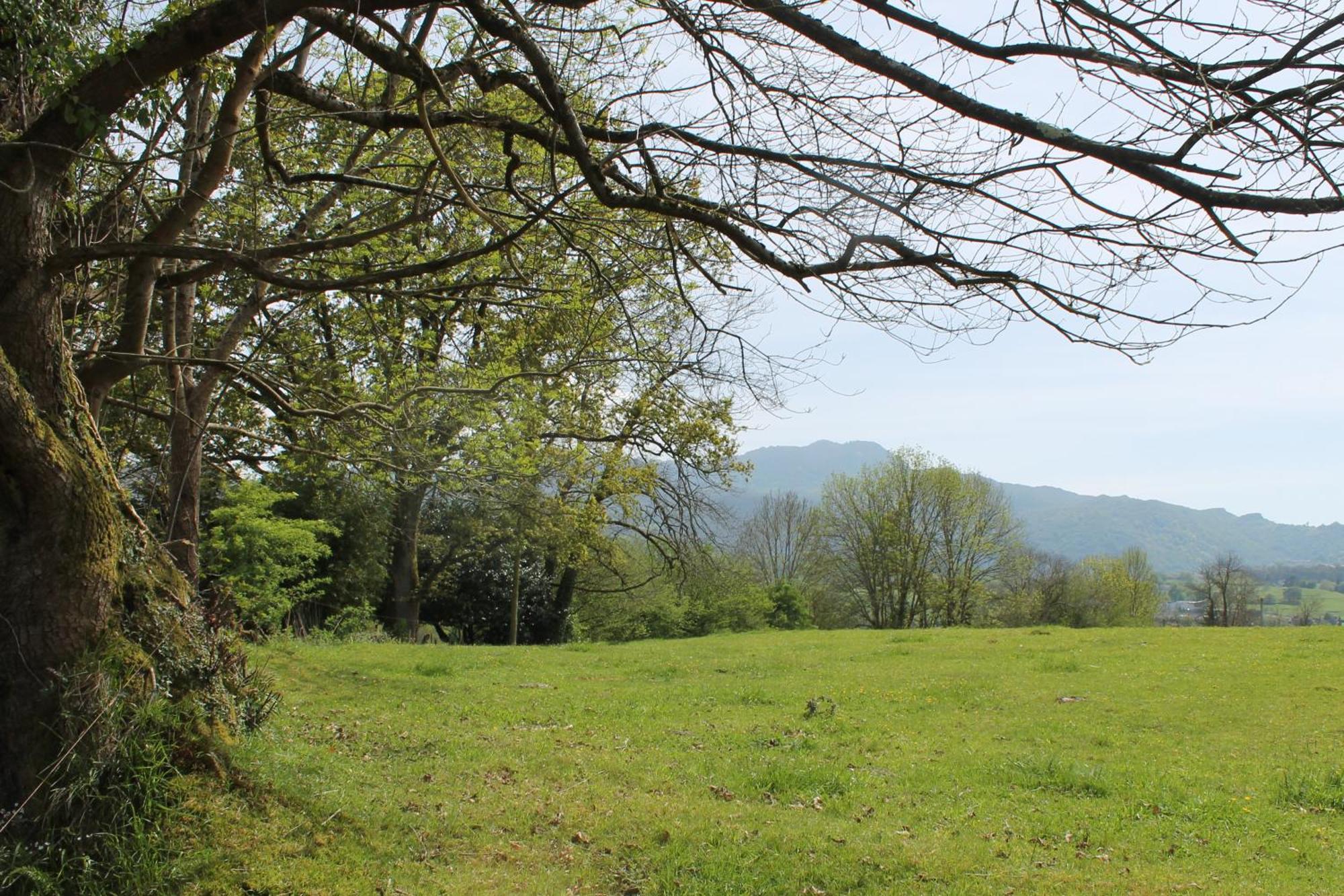 Casa De Aldea Monga 9 En Nava, Asturias Holiday home