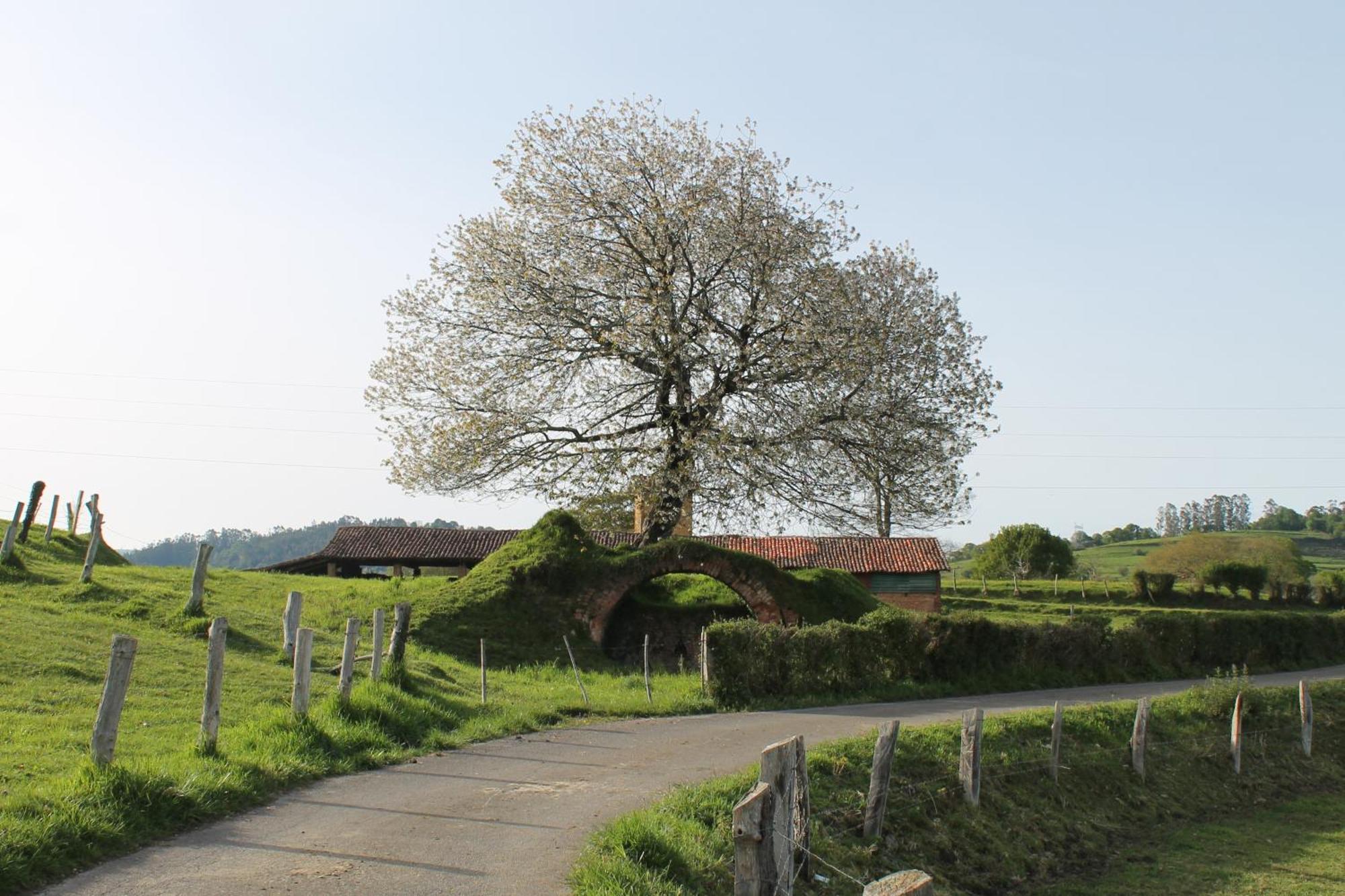 Casa De Aldea Monga 9 En Nava, Asturias Holiday home Nava